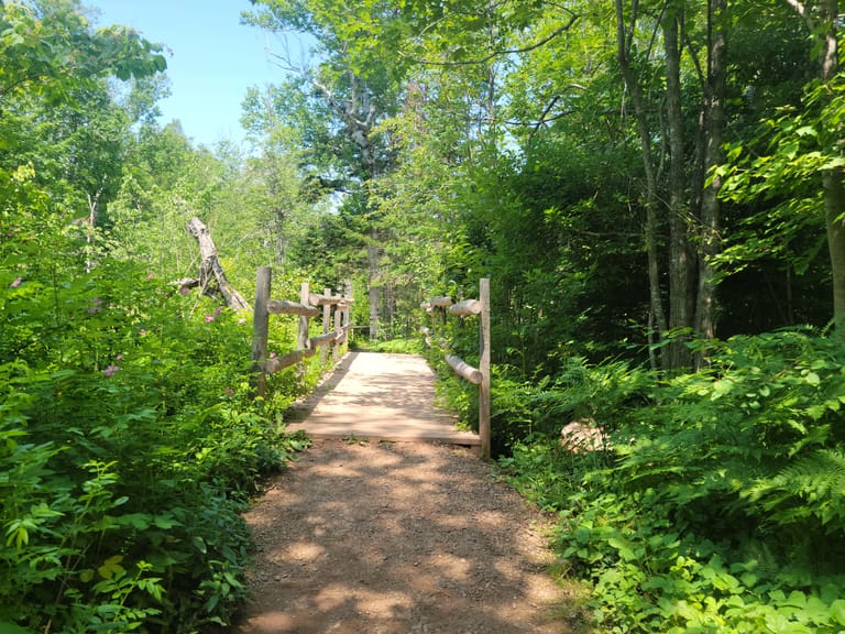 Anne of Green Gables Captured Moment 10