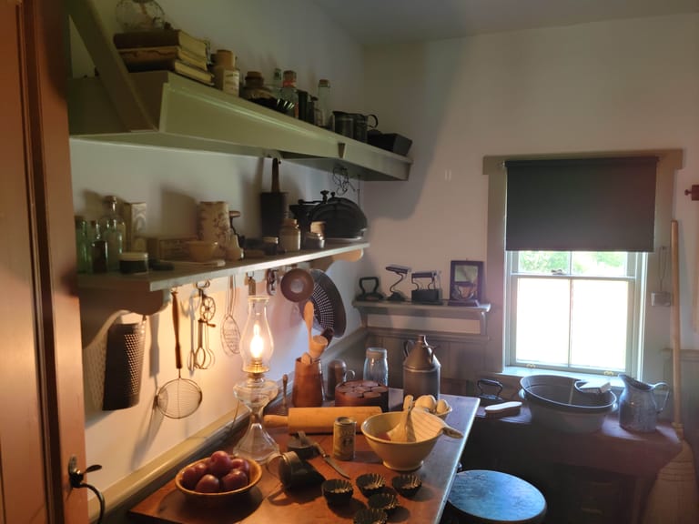 Anne of Green Gables Captured Moment 3