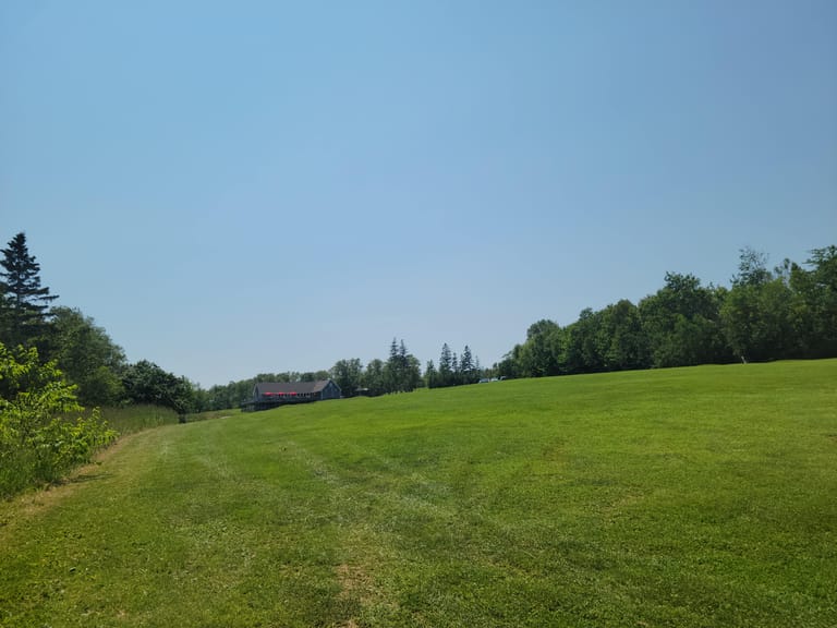 Anne of Green Gables Captured Moment 6