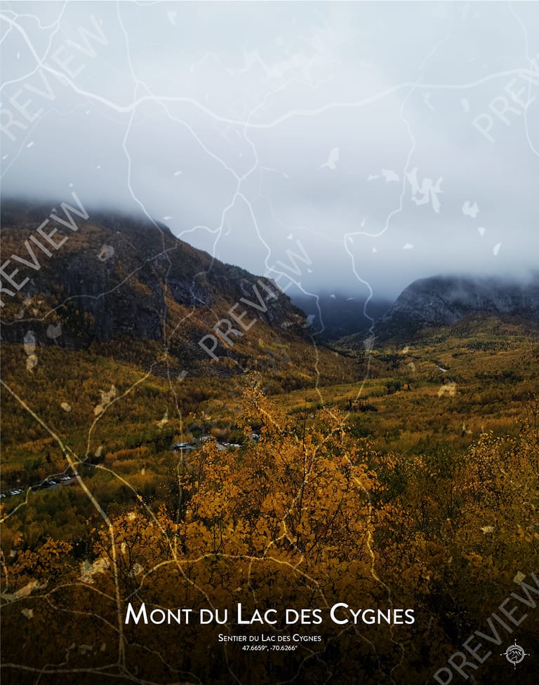 Lac des Cygnes Trail Viewpoint 11x14 Portrait Photo - 2